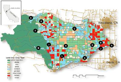Organic Matter Integration, Overprinting, and the Relative Fraction of Optically Active Organic Carbon in a Human-Impacted Watershed